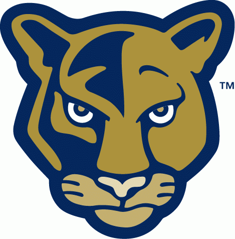 FIU Panthers 2001-2008 Alternate Logo v2 iron on transfers for T-shirts